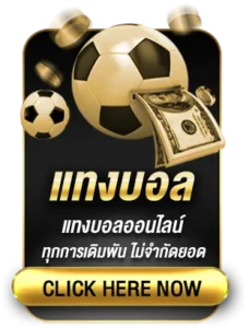 แทงบอล x